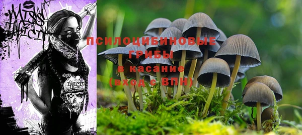 прущий лед Россошь
