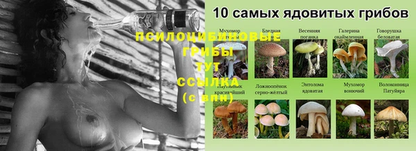 MDMA Premium VHQ Абинск