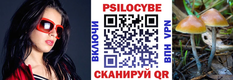 Псилоцибиновые грибы мухоморы  закладки  Ермолино 